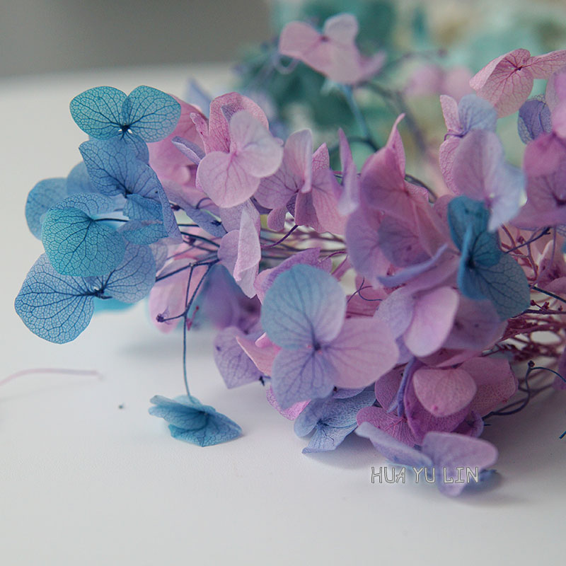 Dried Flower Bulk - Flores Secas de Hortensia con Degradado